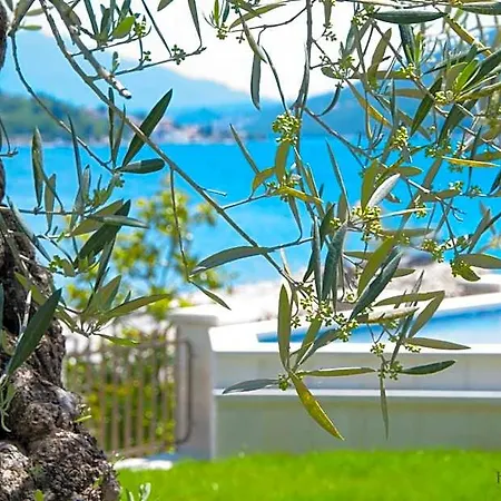 Boutique Kredo Hotel